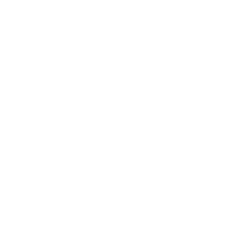 light logo